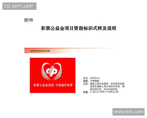 慈善型体育彩票对社会福利与公益事业的积极影响与贡献分析